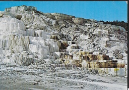 U.S.A. - MINERVA TERRACE - YELLOWSTONE PARK - VIAGGIATA VIA AEREA 1982 FRANCOBOLLO ASPORTATO - Yellowstone