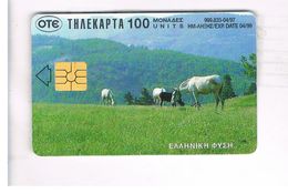 GRECIA (GREECE) -  1997 - HORSES     - USED - RIF.   15 - Cavalli