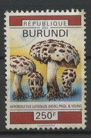 250F  Champignon Ø  Avec Pli Marqué - Gebraucht