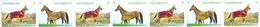 Turkmenistan 2017, Definitives, Fauna, Horses, Strip Of 3 Sets + 1v - Turkmenistan