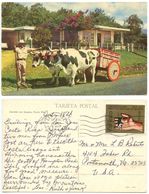 Costa Rica 1975 Postcard Ox Cart, San Jose To U.S., Scott C604 - Costa Rica