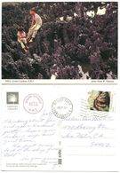 Cayman Islands 1990 Postcard Grand Cayman - Hell, George Town To U.S., Scott 564 - Caïman (Iles)