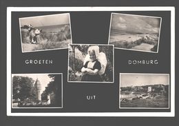 Domburg - Groeten Uit Domburg - 1954 - Domburg