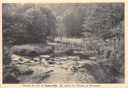 CPM - Maison De Cure De SAINTE-ODE - Un Aspect De L'Ourthe Au Printemps - Sainte-Ode