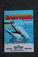 DAUPHINS En Liberté - Affiches Sur Carte