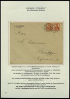 MEMELGEBIET O,Brief,BrfStk,**,* , Reichhaltige Saubere Teilsammlung Memel Von 1920-1922 Mit Vielen Besonderheiten, Bogen - Memelgebiet 1923