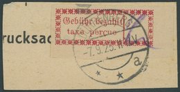 DEUTSCHE LOKALAUSGABEN 1Ia BrfStk, 1923, OPD Halle, Gebührenzettel Type Ia, Stempel DÜRRENBERG, Postkartenabschnitt, Pra - Sonstige & Ohne Zuordnung