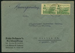 PROVINZ SACHSEN 85II BRIEF, 1945, 6 Pf. Bodenreform Im Waagerechten Paar Auf Brief, Linke Marke Mit Abart Bogenförmiger  - Andere & Zonder Classificatie