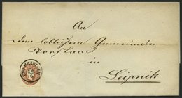 ÖSTERREICH 21 BRIEF, 1862, 10 Kr. Braun, K1 UNG. HRADISCH, Prachtbrief Nach Leipnik - Used Stamps