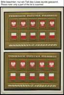 SAMMLUNGEN, LOTS **, Bis Auf Ein Paar Werte Der Jahre 1966/7 Komplette Postfrische Sammlung Polen Von 1966-70 Im KA-BE A - Collezioni