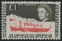 BRITISCHE GEBIETE IN DER 24 **, 1969, 1 £ Antarktisforschung, Pracht, Mi. 250.- - Sonstige & Ohne Zuordnung