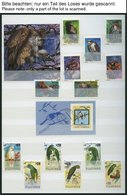 MOTIVSAMMLUNGEN O, **, Ca. 1975-85, Tiere, Partie Verschiedener Ausgaben Und Blocks In 3 Einsteckbüchern, Pracht - Sin Clasificación