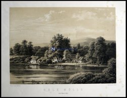 SELK (Selk Mölle Ved Danevirke), Blick über See Auf Den Ort Mit Mühle, Lithographie Mit Tonplatte Von J. Hellesen Nach F - Lithographies