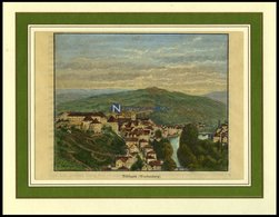 TÜBINGEN, Gesamtansicht, Kolorierter Holzstich Aus Malte-Brun Um 1880 - Litografia