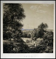 VEJLE (Veile), Gesamtansicht Aus Einem Waldweg Heraus Mit Zwei Ochsenfuhrwerken Im Vordergrund, Lithographie Von Hellese - Lithografieën