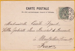 1903 - CP De Constantinople Galata, Levant Français Vers Montpellier, France - Affrt 5c Type Blanc Levant - Vue Bosphore - Storia Postale