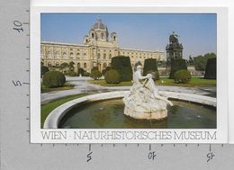 CARTOLINA NV AUSTRIA - WIEN - Naturhistorisches Museum - 11 X 16 - Museos