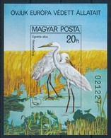 ** 1980 Madarak - Védett Vízimadarak Vágott Blokk (6.000) - Autres & Non Classés