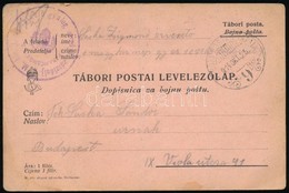1916 Tábori Posta Levelezőlap 'M.kir. 1. Népfölkelő Gyalog Ezred 3. Zászlóalj Parancsnokság' + 'TP 9' - Autres & Non Classés
