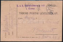 1918 Tábori Posta Levelezőlap / Field Postcard 'K.u.k. Sturmhalbbaon B. 145. 1. Komp.' + 'FP 168 B' - Sonstige & Ohne Zuordnung