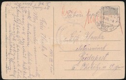 1919 Vörös Hadsereg Tábori Postai Levelezőlap A 21. Erdélyi Vörös Ezredtől / Red Army Field Postcard  'TP 102' - Sonstige & Ohne Zuordnung