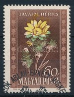 O 1950 Virág 60f Erősen Eltolódott Zöld Színnyomattal - Sonstige & Ohne Zuordnung