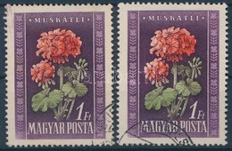 O 1950 2 Db Virág I. 1Ft A Tervező Neve Nélkül - Autres & Non Classés