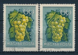 O 1954 Gyümölcsök 2 X 60f Sárgább Illetve Zöldebb Szőlőszemek - Sonstige & Ohne Zuordnung