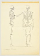 Barcsay Jelzéssel: Csontváz Tanulmány. Ceruza, Papír, 46×32 Cm - Other & Unclassified