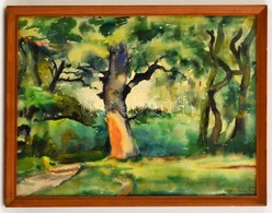Kustos Jelzéssel: Zöldellő Erdő, Akvarell, Papír, üvegezett Fa Keretben, 32×42 Cm - Other & Unclassified