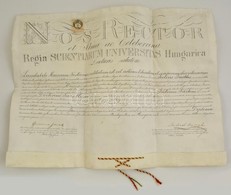 1891 Jogi Diploma Pergamenen Függőpecsét Nélkül - Sin Clasificación
