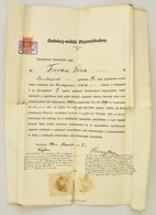 1910 Bp., A Kir. Magyar Tudomány Egyetem 2. Számú Sebészeti Klinika által Kiállított Sebész-műtői Igazolvány, 2K Okmányb - Ohne Zuordnung