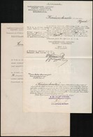 1919 Tanácsköztársaság Fizetésemelésről Szóló Két Okmány. - Unclassified