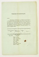 1865 M. Kir. Helytartótanács Körlevele Valamennyi Törvényhatóságnak (Nógrád Vármegye, Balassagyarmat), Benne Számos Külö - Ohne Zuordnung