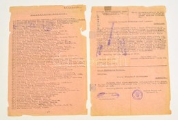 1946 Országos Földbirtokrendező Tanács és Veszprémi Megyei Földhivatal Iratai Egyezményes Ménesek Tárgyában, 2 Db, Az Eg - Unclassified