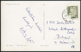 1962 Kókay György (1929-) Könyvtáros, Irodalomtörténész üdvözlő Sorai Egy Képeslapon Az MTA Irodalomtörténeti Intézet Bi - Autres & Non Classés