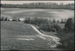 Cca 1975 Gebhardt György (1910-1993) Budapesti Fotóművész Hagyatékából 3 Db Vintage Fénykép, Az Egyik Feliratozott, 13x2 - Autres & Non Classés