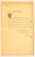 1876 Születési Anyakönyvi Kivonat Okmánybélyeggel, Weisse József Vágújhelyi Rabbi Aláírásával, Hajtva - Other & Unclassified