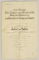 1915 Az Osztrák Császári Vaskorona-rend 3. Osztálya Posztumusz Adományozólevele Péteri Takáts Gábor (1877-1914) A 10. Hu - Altri & Non Classificati