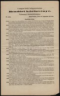 1873 Buda-Pest, A Magyar Királyi Belügyministerium Rendőri Körözvénye Valamennyi Törvényhatósághoz 27. Szám, 34×21 Cm - Non Classificati