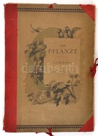 Gerlach, Martin: Die Pflanze In Kunst Und Gewerbe. 
Wien, 1886. Gerlach & Schenk, 90 Db Nagyméretű, Nagyrészt Litografál - Unclassified