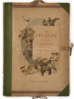 Gerlach, Martin: Die Pflanze In Kunst Und Gewerbe. Stilischer Teil. 
Wien, 1886. Gerlach & Schenk, 95 Db Nagyméretű, Nag - Non Classés