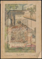 Cca 1907 Részletek A 'Nő Mint Háziorvos' Című Könyvből, Leírások + Litho Illusztrációk, 3 Db - Unclassified