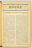 1938 A Búvár C. újság Teljes évfolyama Bekötve. - Unclassified