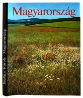 Szelényi Károly: Magyarország. Bp., 1986. Képzőművészeti Kiadó. Illusztrált Védőborítóval. - Unclassified