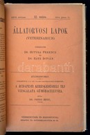 Dr. Preisz Hugó (1860-1940) Orvos, állatorvos, Bakteriológus, A Magyar Tudományos Akadémia Rendes Tagja 1900-1928 Között - Unclassified