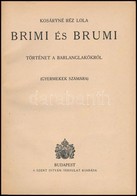 Kosáryné Réz Lola: Brimi és Brumi. Történet A Barlanglakókról. (Gyermekek Számára.) Bp.,é.n., Szent István-Társulat. Kia - Non Classificati