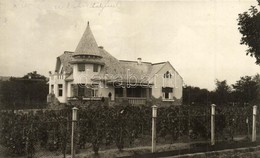 T2 Balatonalmádi, Wéninger Nyaraló, Villa, Szőlő - Ohne Zuordnung