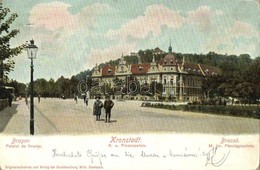 T2/T3 Brassó, Kronstadt, Brasov; Palatul De Finante / K. U. Finanzpalais / M. Kir. Pénzügyi Palota, Wilh. Hiemesch Kiadá - Ohne Zuordnung