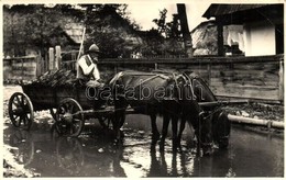 * T2/T3 Csíkszereda, Mercurea Ciuc; Lóitatás / Drinking Horse, Z. I. Aladics Photo (EK) - Ohne Zuordnung